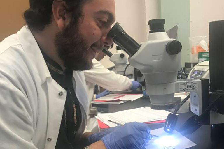 BSP member wearing a lab coat and looking into a microscope at a lab bench.