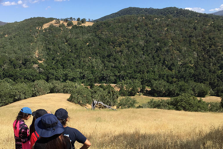 Students in a brown grass field with oak covered rolling hills in the background.