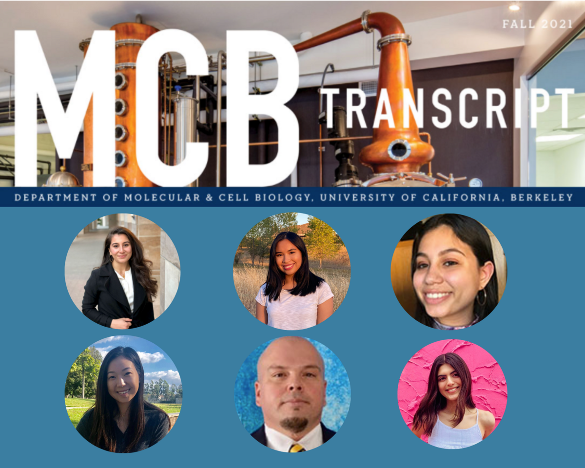 MCB Transcript newsletter banner and profile photos of BSP members